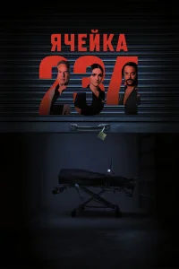 Ячейка 234 онлайн